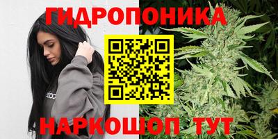 ГАЛЛЮЦИНОГЕННЫЕ ГРИБЫ Балахна