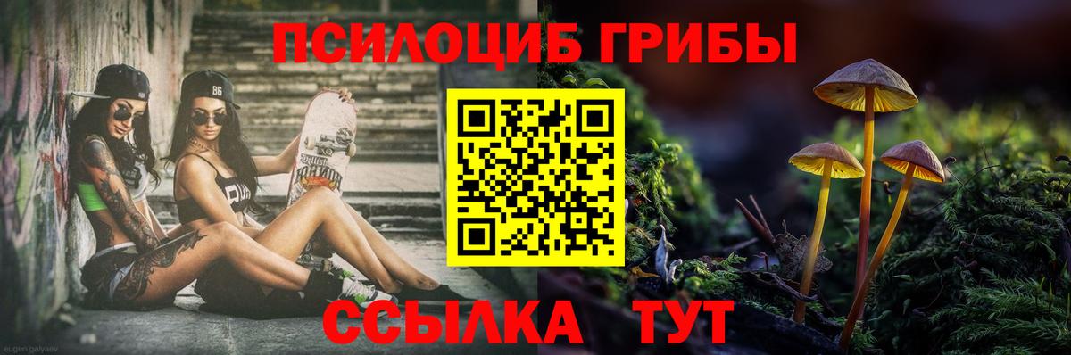 закладки  Псилоцибиновые грибы мицелий  Жигулёвск  Вход с VPN  Галлюциногенные грибы мицелий 